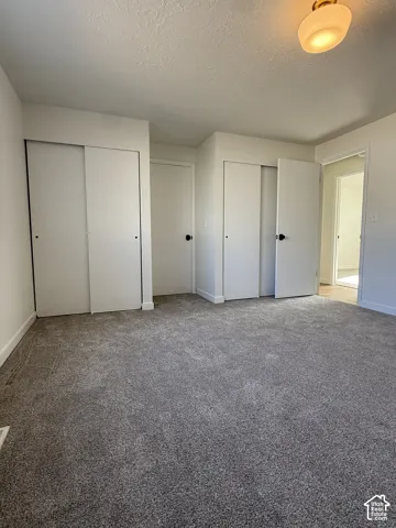 Neutral gray carpeting, white walls, and bright overhead lighting