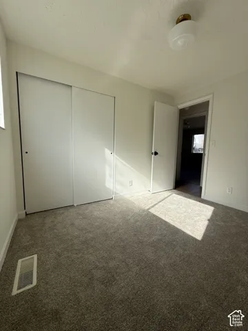 Carpeted flooring, white sliding closet doors, white interior walls, and a ceiling-mounted light fixture