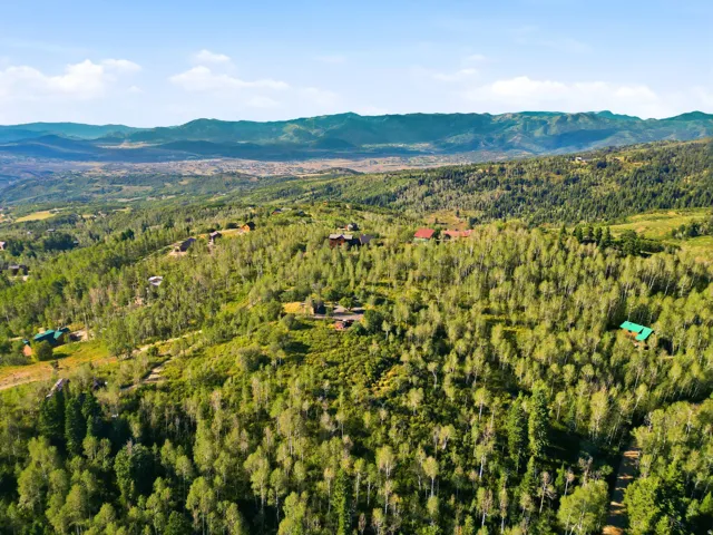 Expansive wooded landscape featuring a mountainous backdrop and scattered residential properties