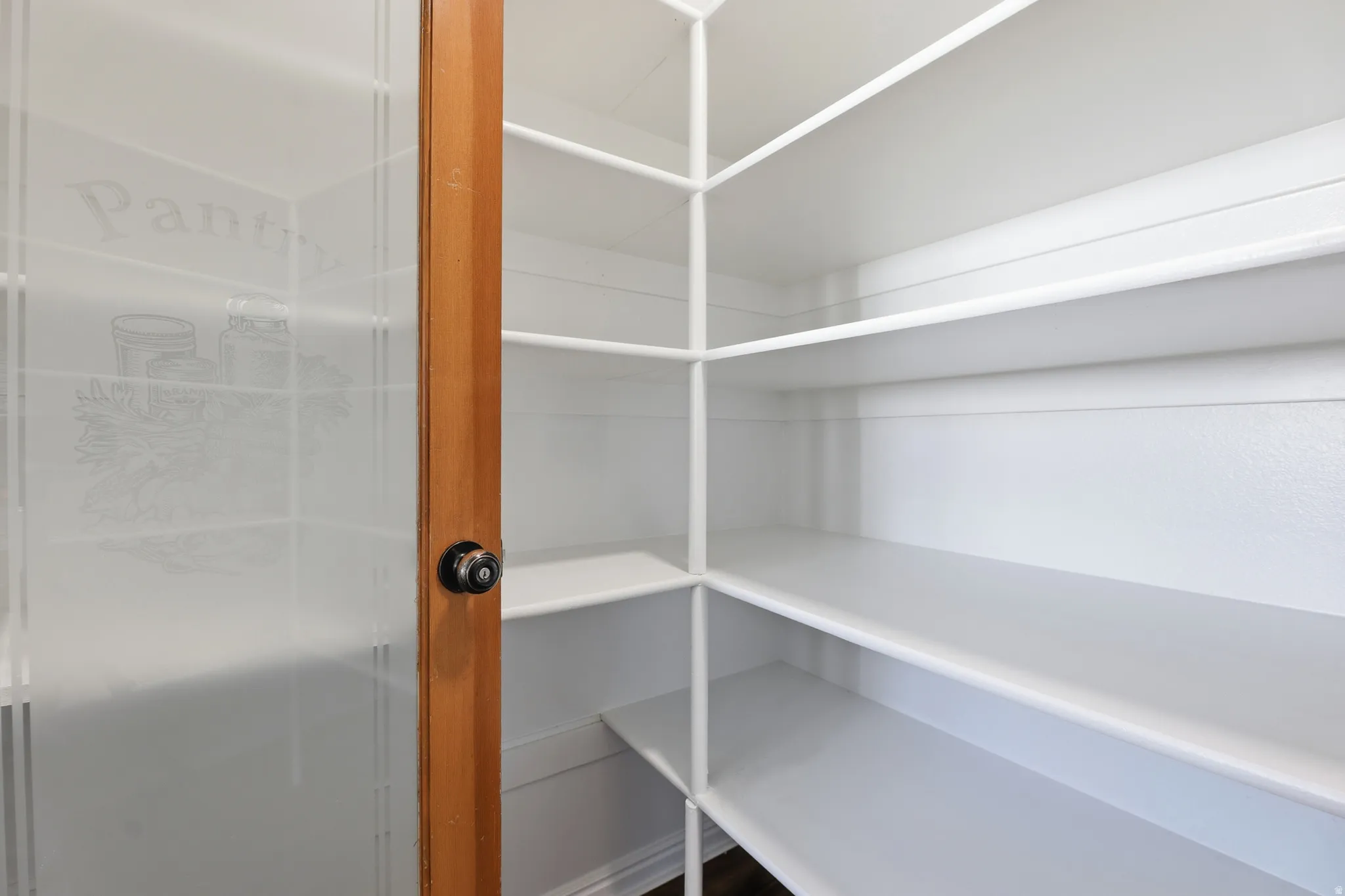 Frosted glass pantry door with large amount of storage.