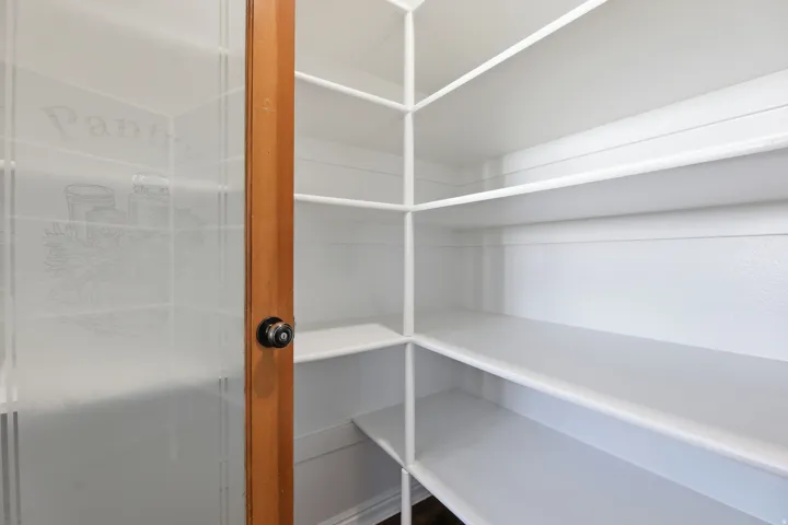 Frosted glass pantry door with large amount of storage.
