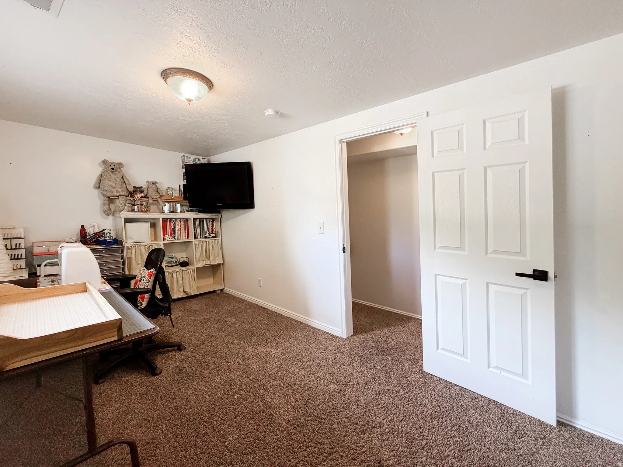 Recessed lighting, white panel door with matte black hardware, integrated shelving, and carpet flooring