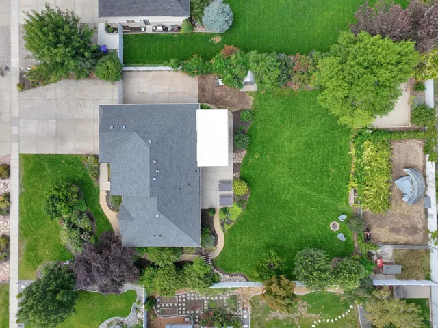 Expansive lot featuring a large lawn area, mature trees, concrete driveway, and varied landscaping