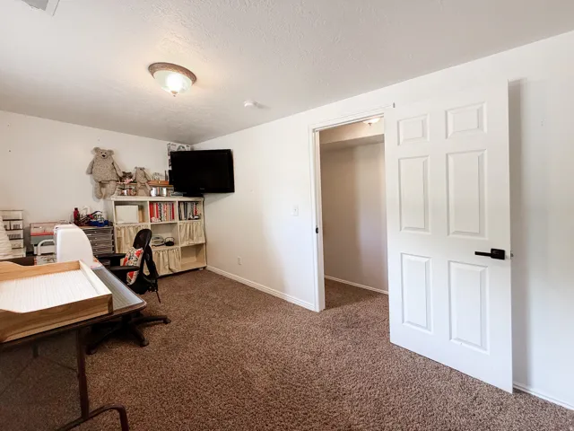 Recessed lighting, white panel door with matte black hardware, integrated shelving, and carpet flooring