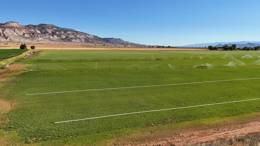 Expansive agricultural land featuring a green crop, active irrigation system, and distant mountain backdrop