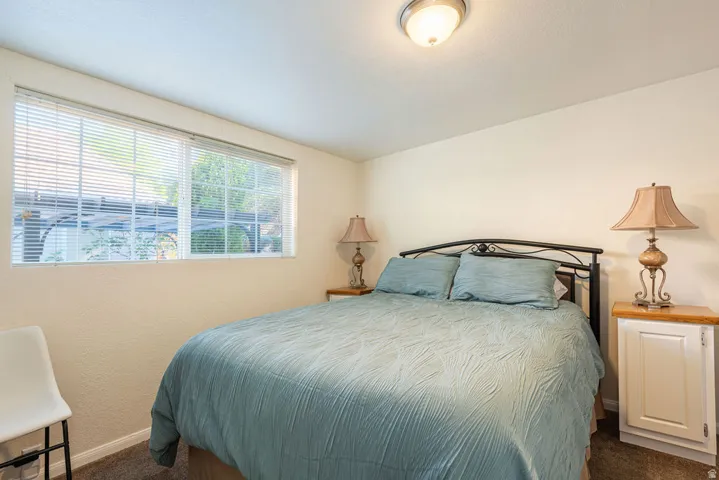 Carpeted bedroom with a window featuring blinds, a ceiling-mounted light fixture, and neutral-toned walls