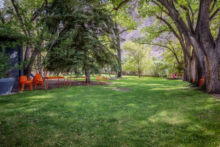 Expansive green lawn with mature trees and natural landscaping