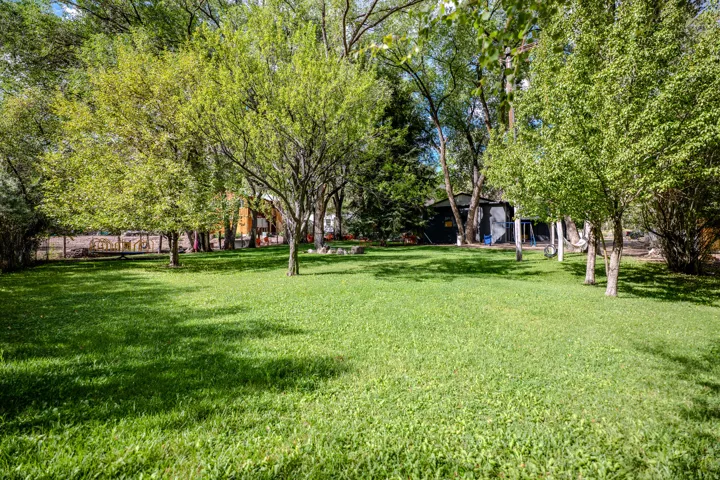 Expansive green lawn surrounded by mature trees