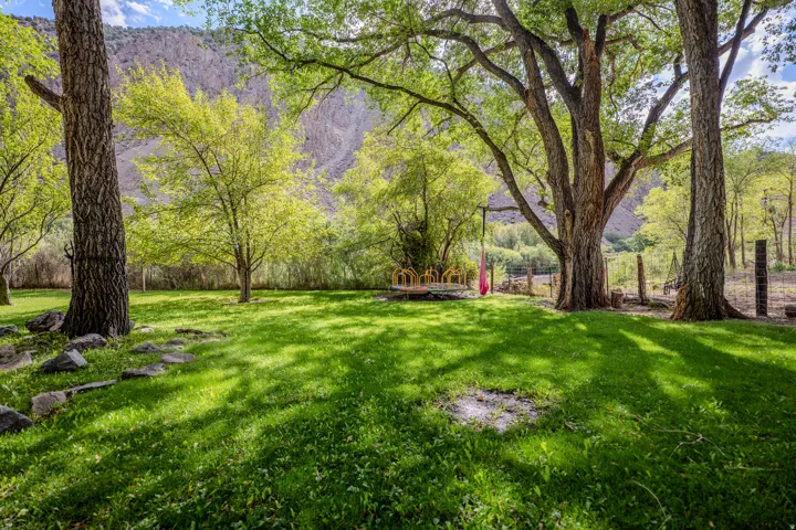 Expansive lawn with mature trees and stone pavers