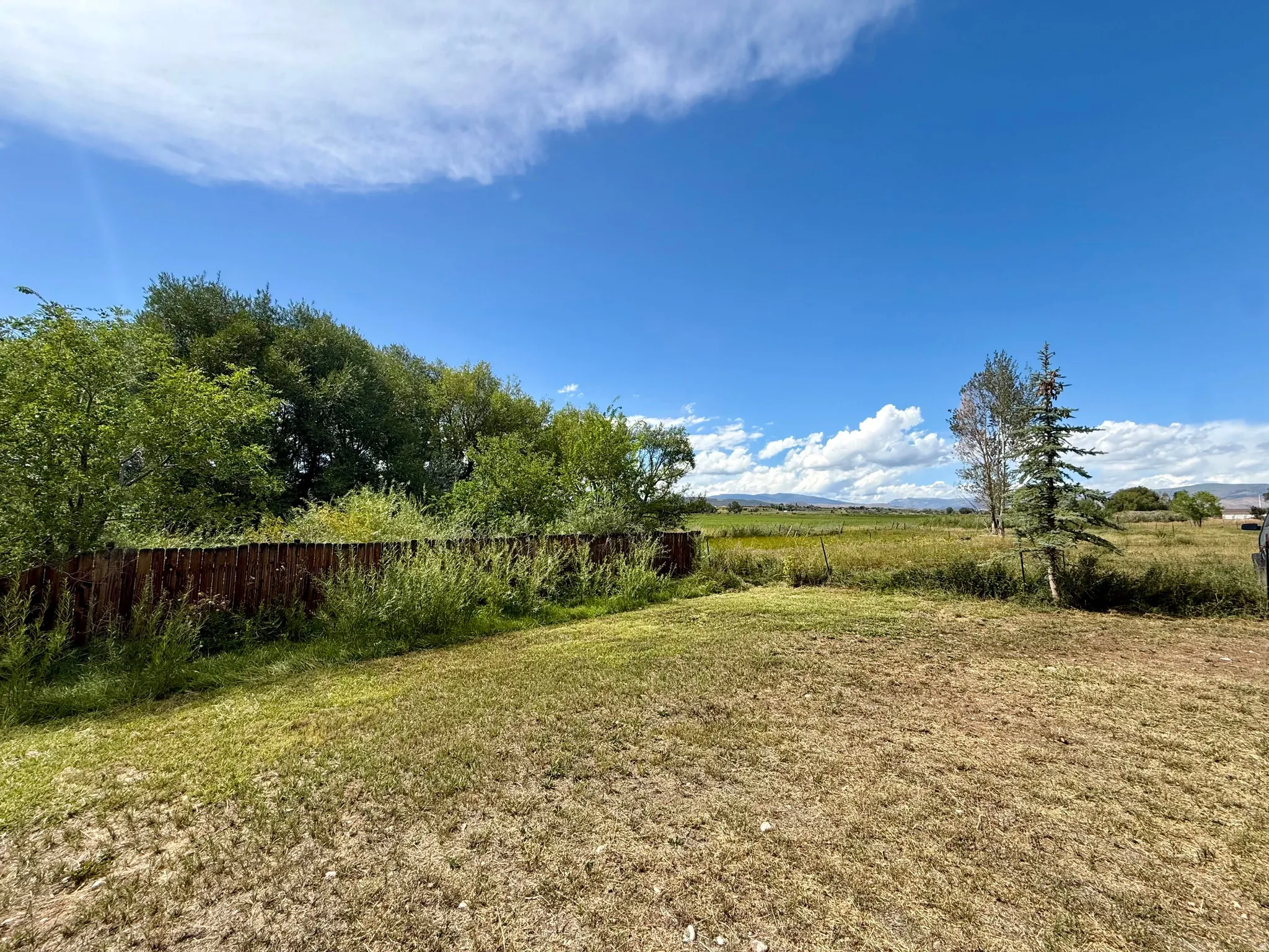 Spacious cleared lot with mature tree line bordering the property, offering open acreage and natural landscape features