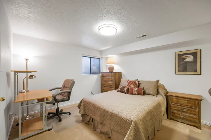 Recessed window with natural light, neutral wall colors, carpeted flooring, and an overhead flush-mount light fixture