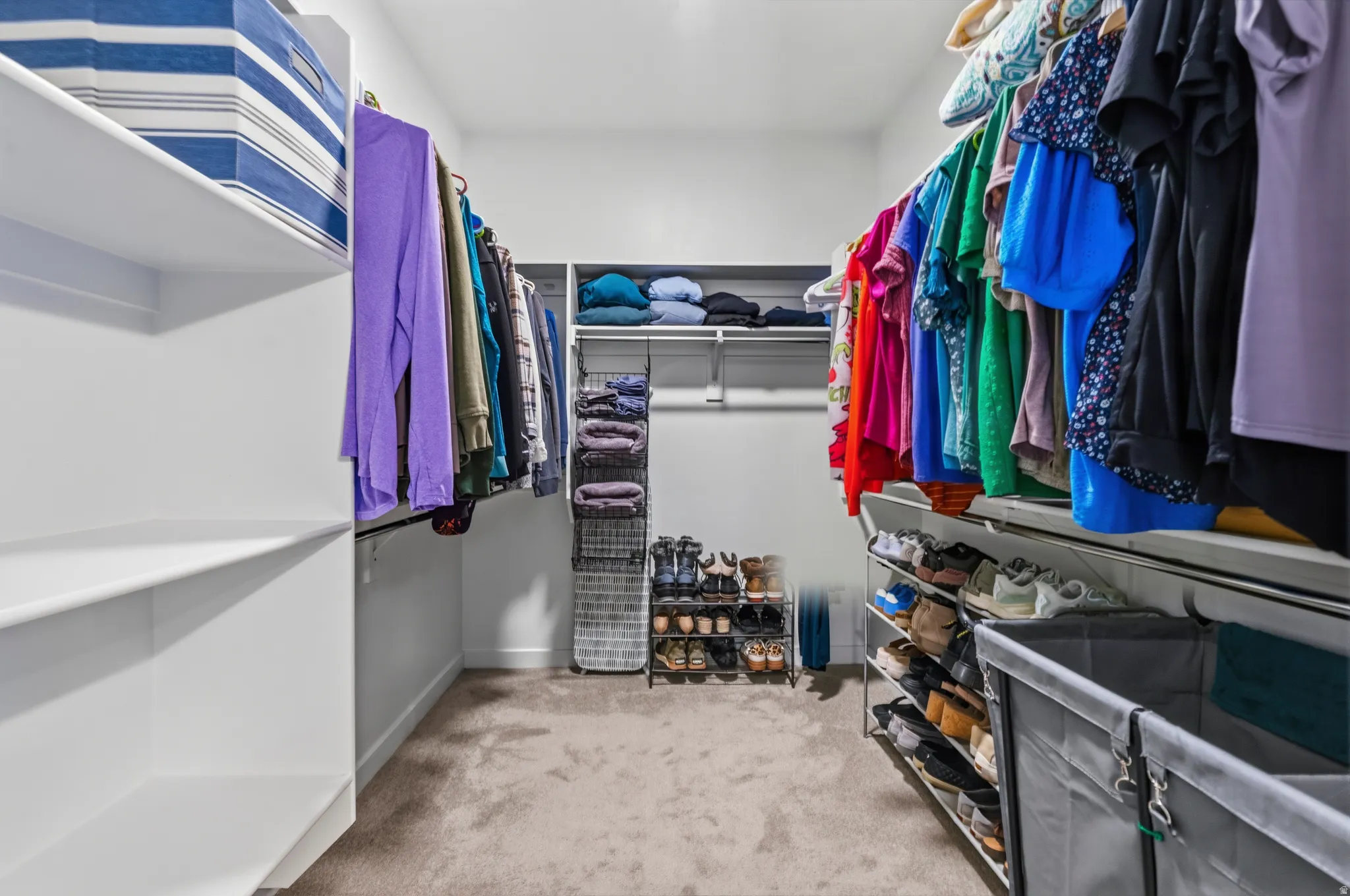 Walk-in closet featuring white built-in shelving, carpet flooring, and multiple clothing rods