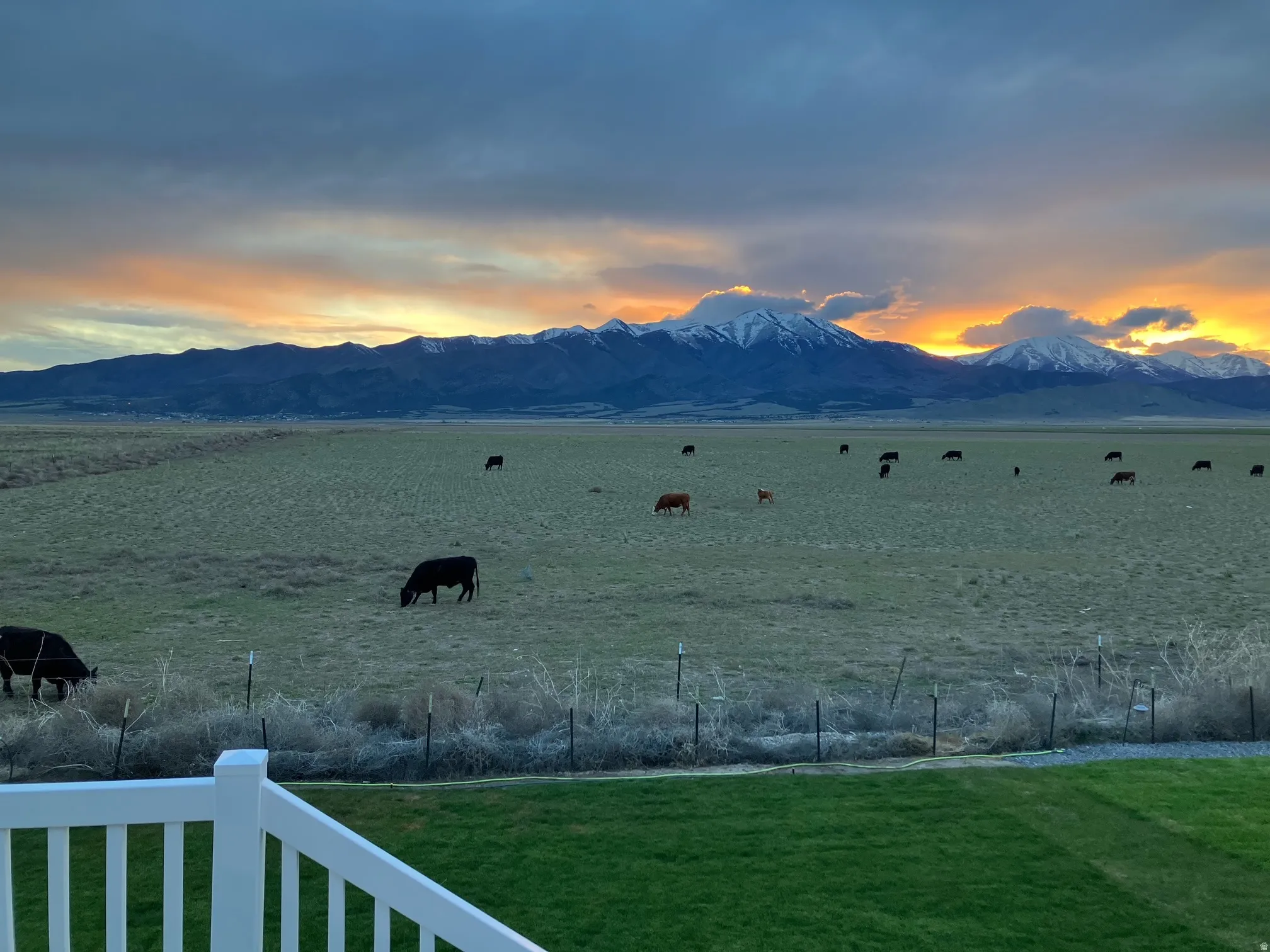 Expansive open fields with distant snow-capped mountains and a prominent sky