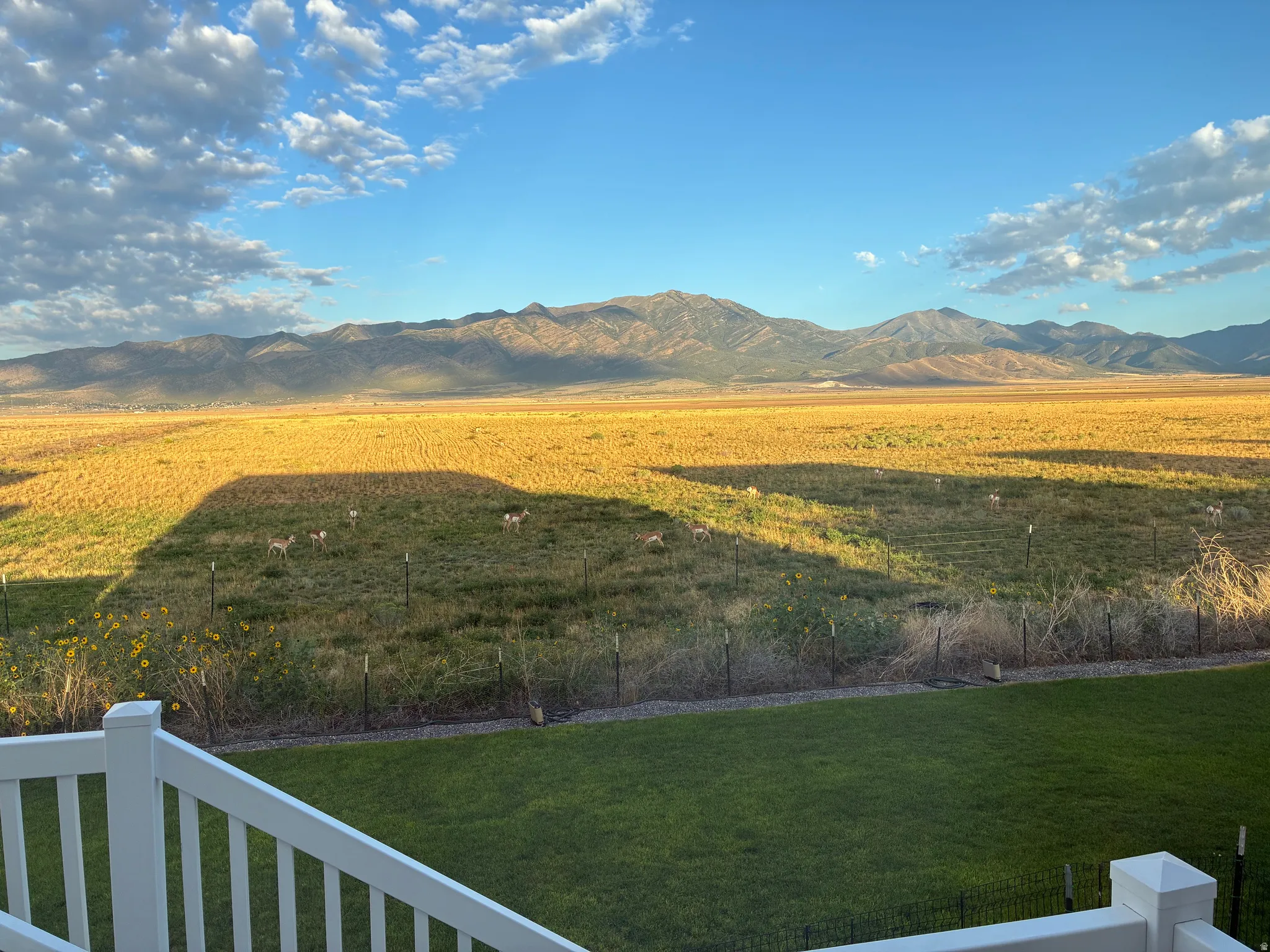 Expansive grassy yard with a white railing, overlooking a vast field and distant mountains