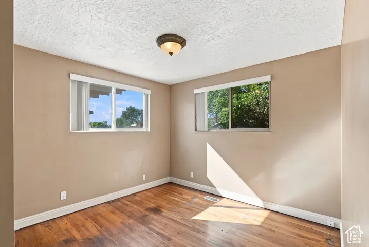 Wood-finish flooring, two windows with blinds, and a flush-mount ceiling light fixture