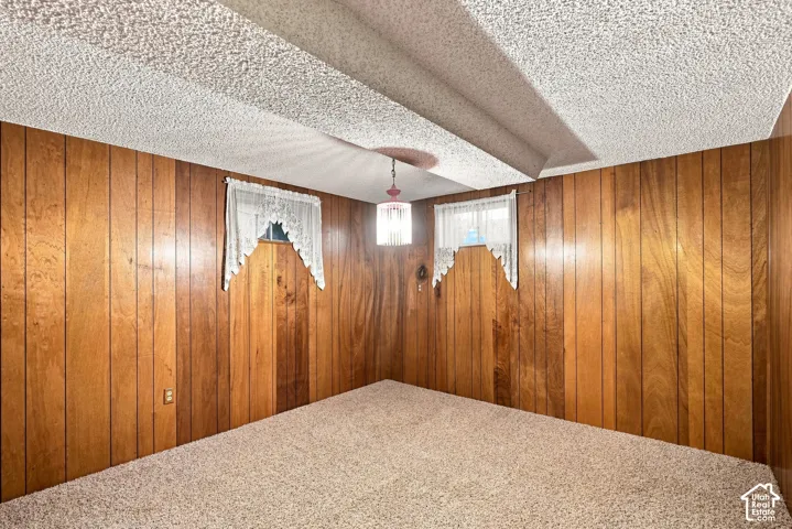 Carpeted flooring, wood panel walls, textured ceiling, two windows, and overhead lighting