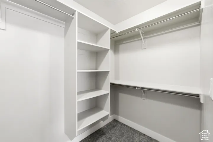 Primary Suite Closet