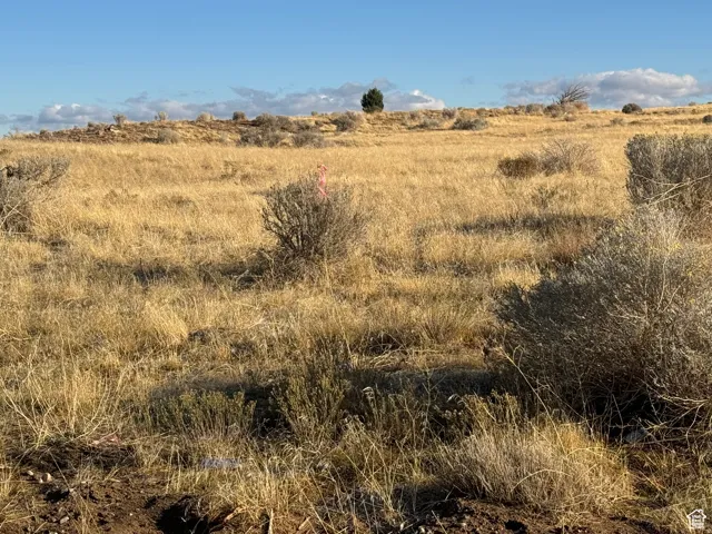 1000 S Foothill Blvd, Delta, Utah 84624