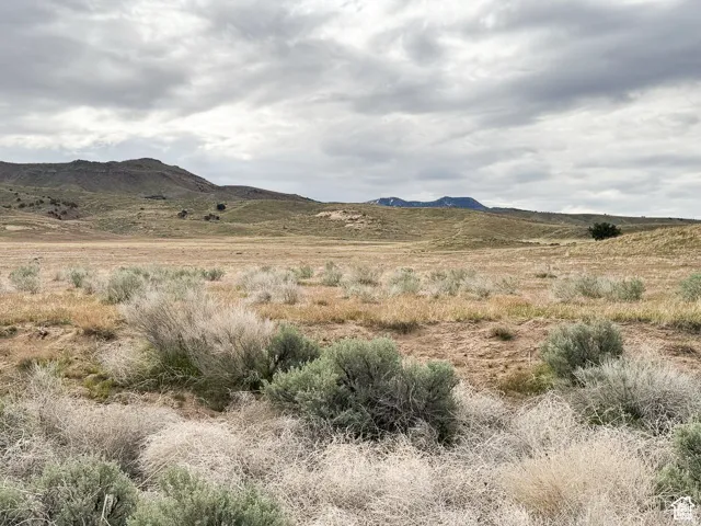 1000 S Foothill Blvd, Delta, Utah 84624