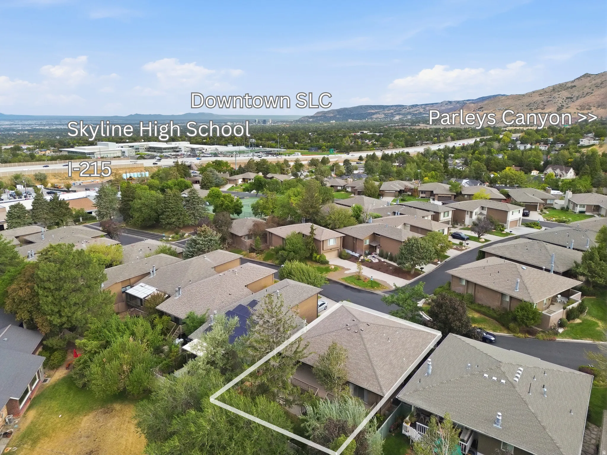 Aerial perspective of a residential community with abundant mature trees and mountainous terrain