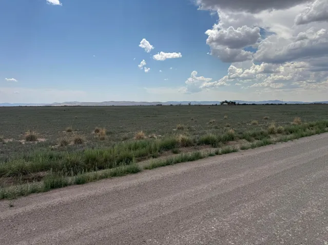 Expansive open land with natural ground cover, bordered by a gravel road