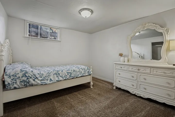 Neutral wall color, textured carpeting, built-in ceiling light fixture, window with white trim