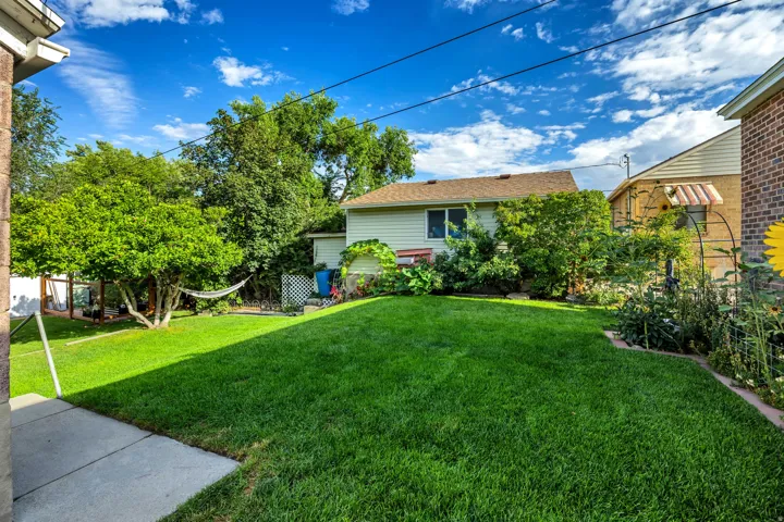 Expansive grassy yard with mature trees and a paved walkway