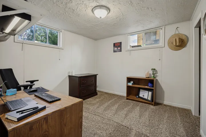 Carpeted room with white walls, two windows, and a flush mount ceiling light fixture