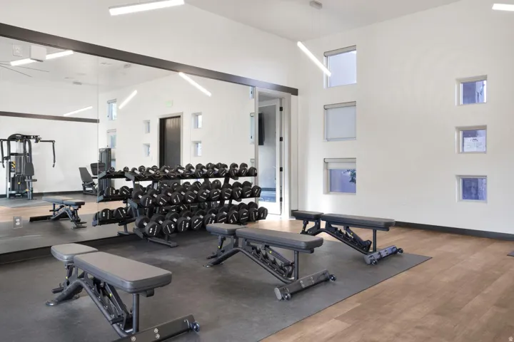 Dedicated fitness space featuring wood-finish flooring, a full-wall mirror, and multiple windows