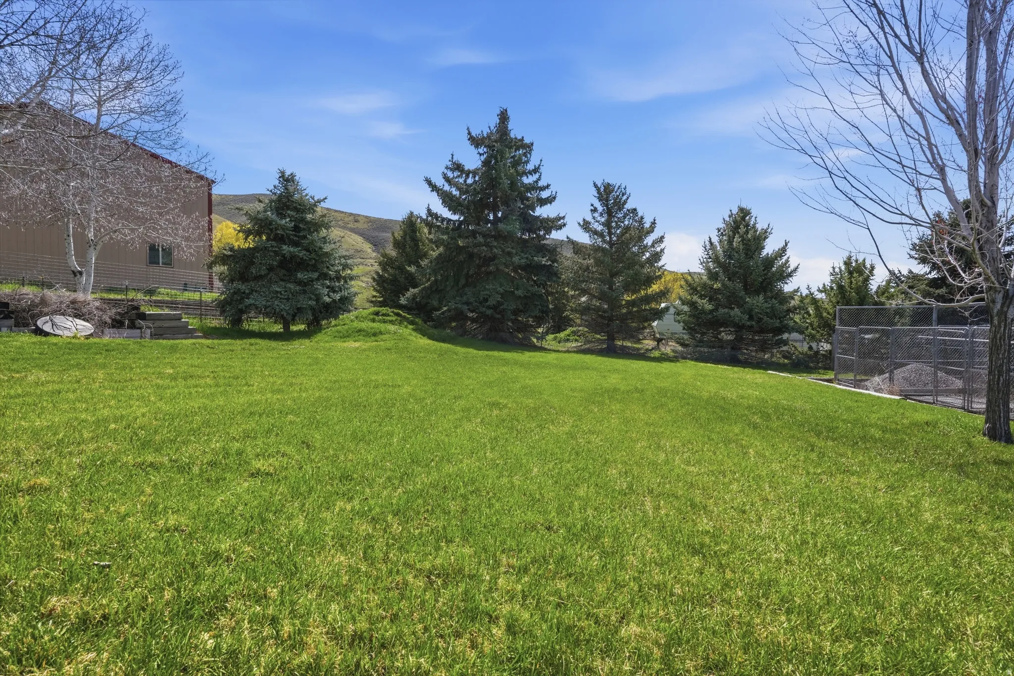 Expansive green lawn with mature evergreen trees and distant natural hills