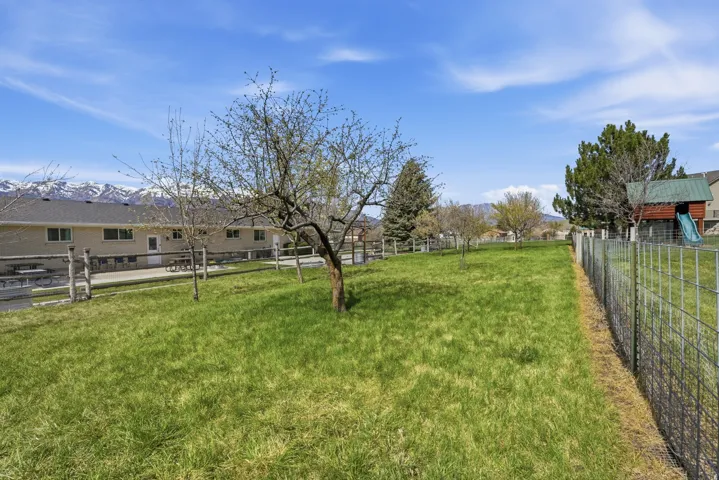 Expansive grassy yard with mature trees and a wire fence