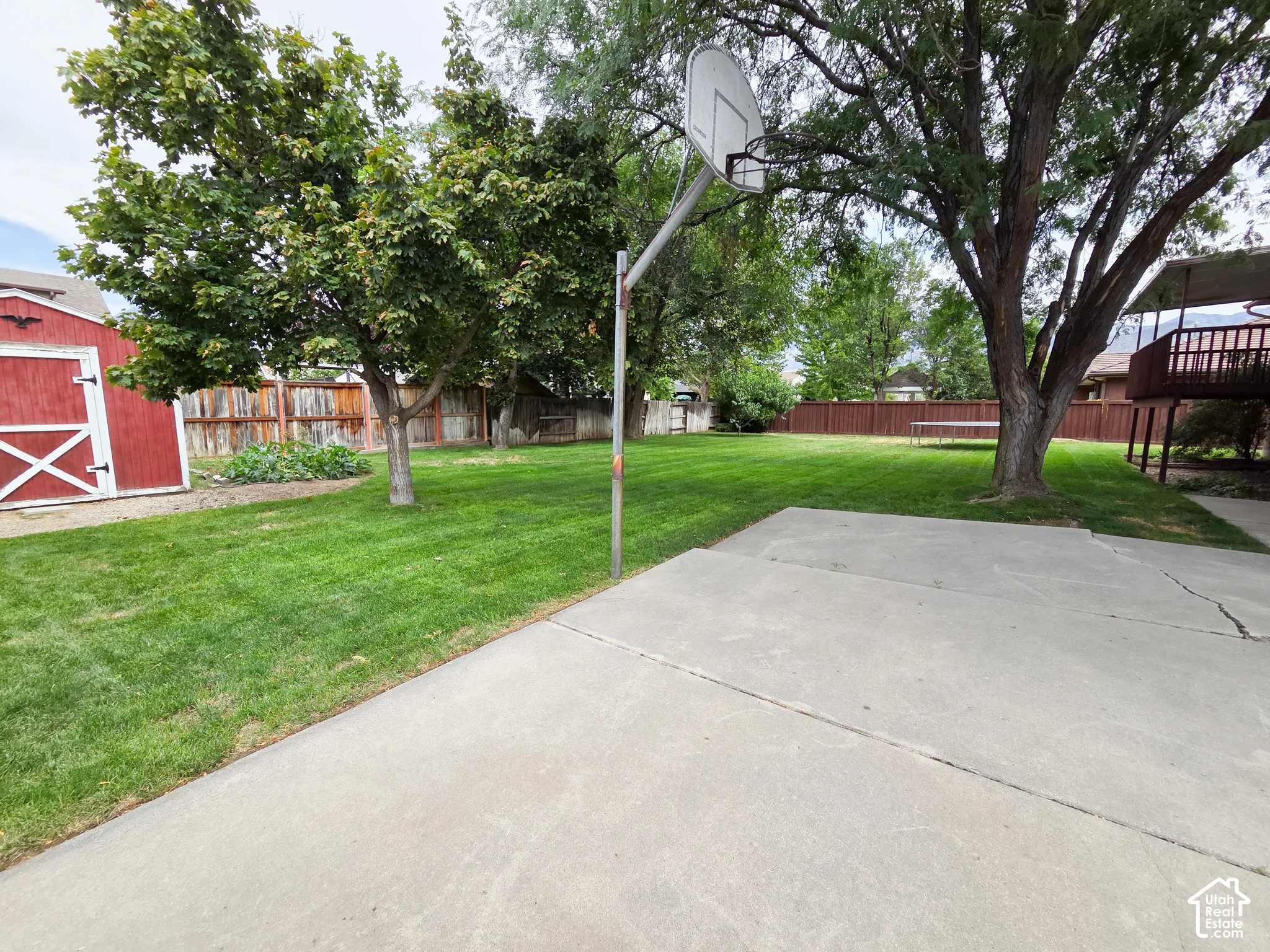 Expansive concrete driveway with mature shade trees and manicured lawn