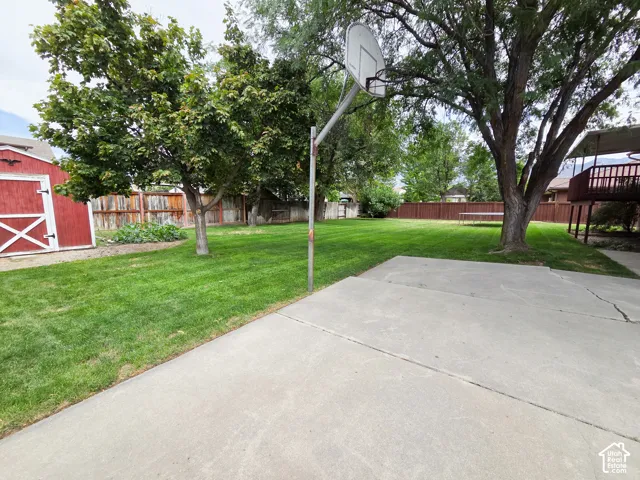 Expansive concrete driveway with mature shade trees and manicured lawn