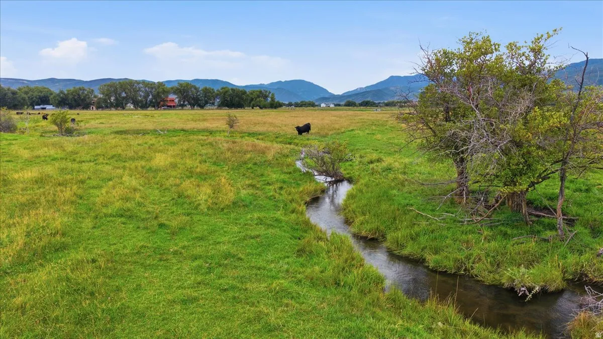 Expansive green fields with a winding stream, mature trees, and distant mountains
