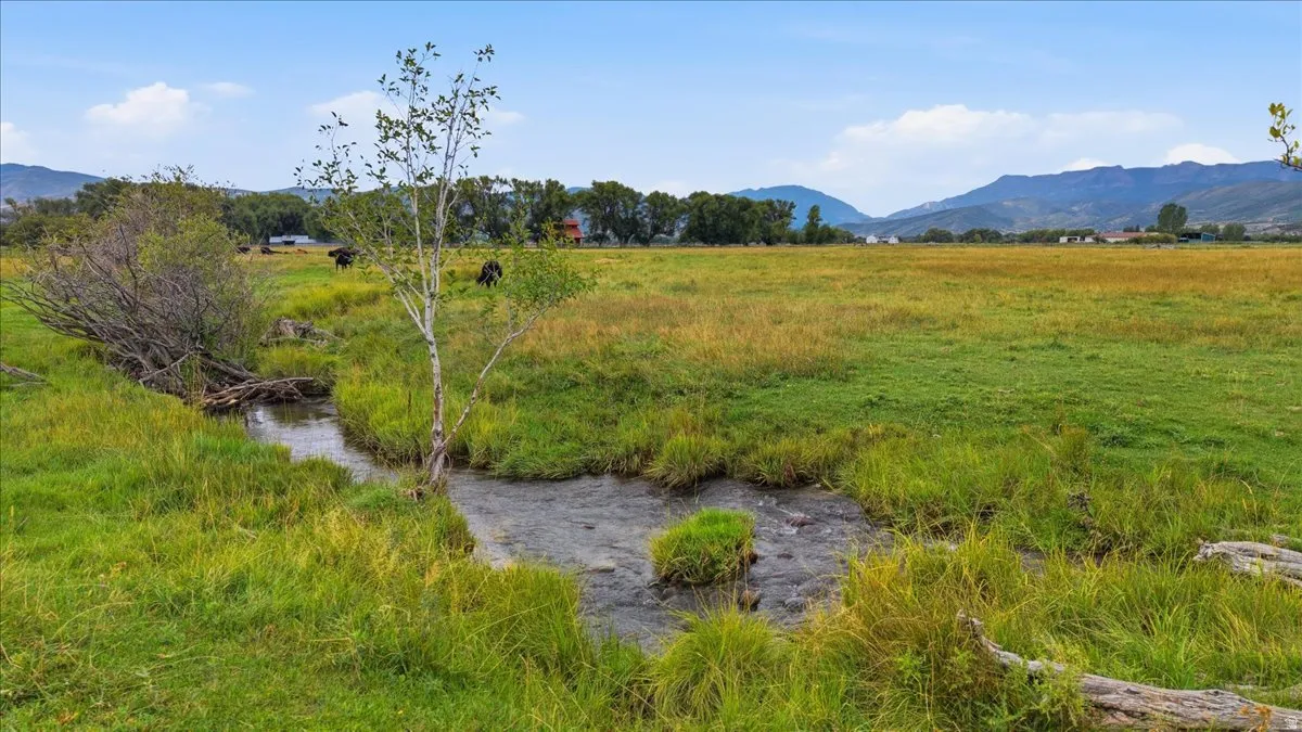 Expansive open pasture with a flowing creek, mature trees, and distant mountain scenery