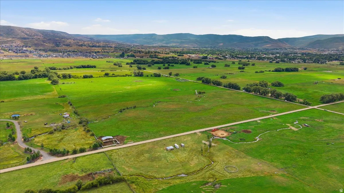 Expansive green fields with distant mountains and scattered trees