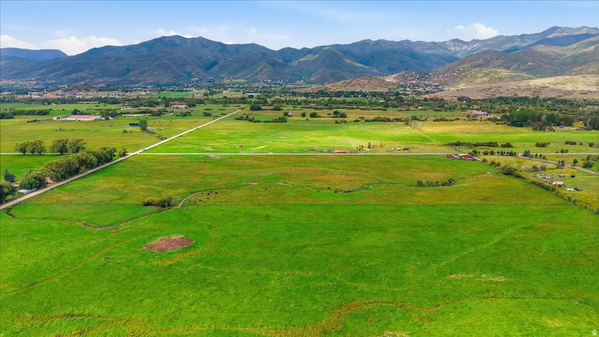 Expansive green fields with distant mountains