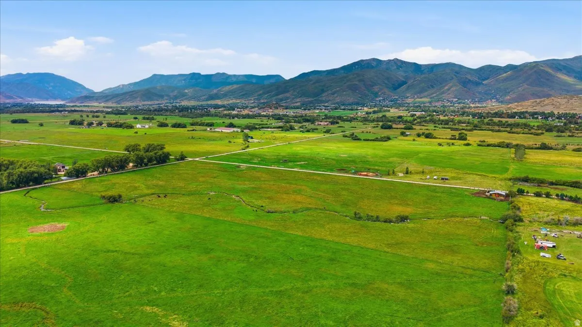 Expansive green fields with distant mountains under a blue sky