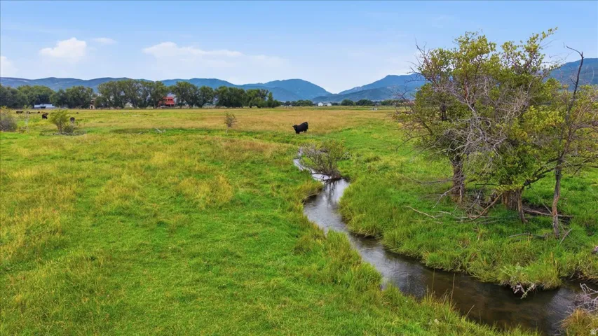 Expansive green fields with a winding stream, mature trees, and distant mountains
