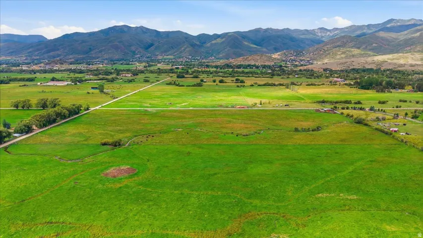 Expansive green fields with distant mountains