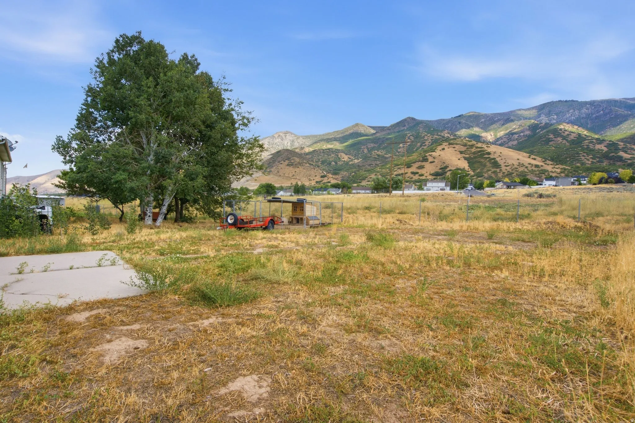 Expansive outdoor area with a large tree, concrete pad, and mountain backdrop