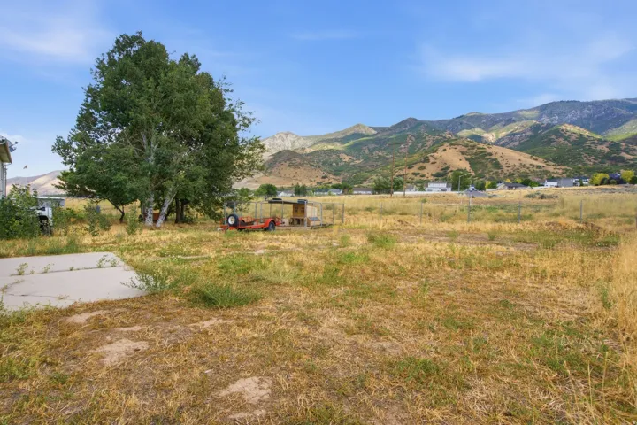 Expansive outdoor area with a large tree, concrete pad, and mountain backdrop