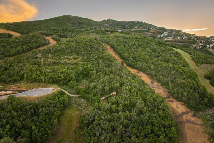 Rolling terrain with abundant mature trees and partial clearing, featuring a paved cul-de-sac and developing hillside properties in the distance