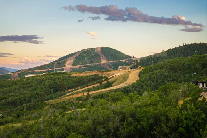 Mountainous terrain featuring extensive tree coverage and visible cleared paths
