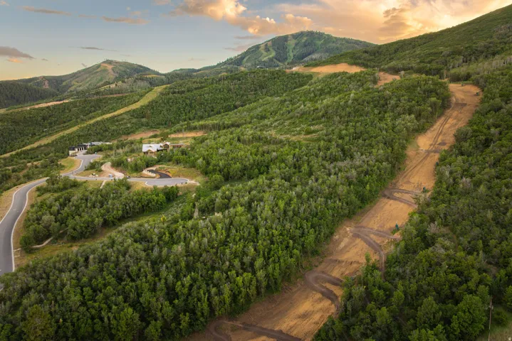 Expansive rural acreage featuring dense forest coverage, rolling hillsides, and mature coniferous trees