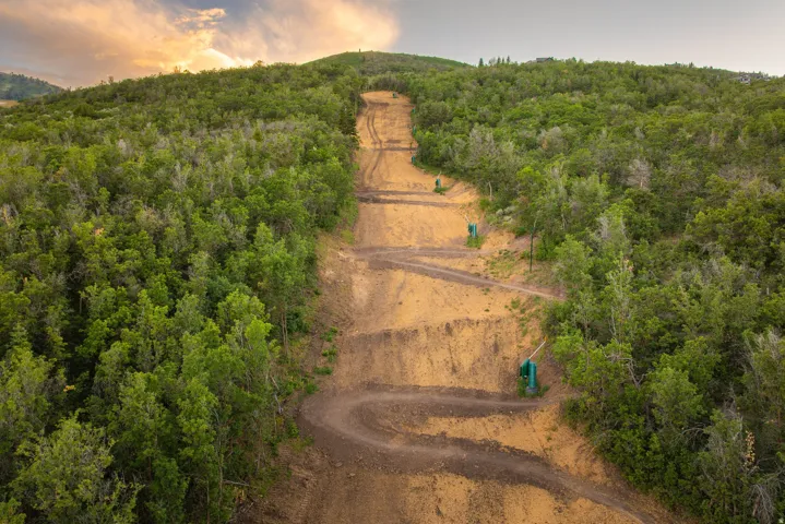 Expansive sloped terrain with a winding natural path, surrounded by dense mature trees