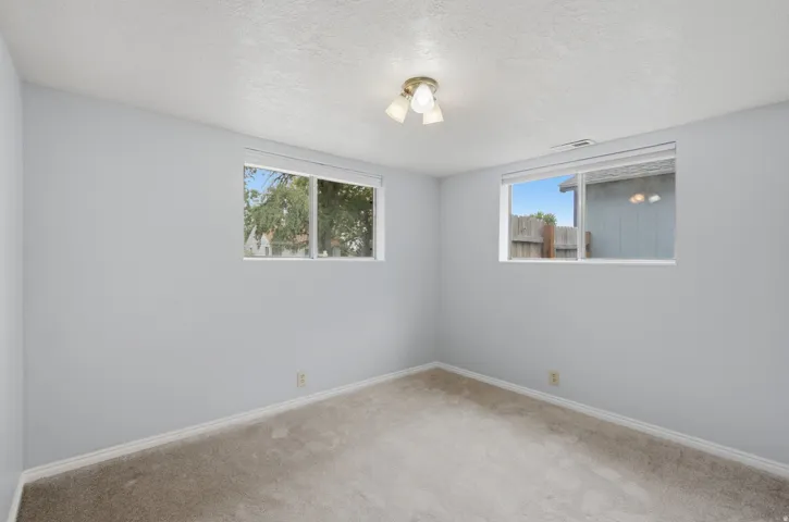 Neutral wall color, carpet flooring, dual windows, and a flush mount light fixture