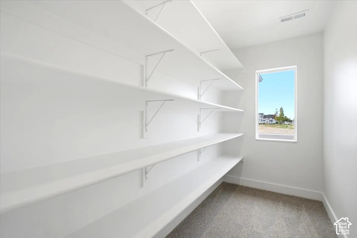 Integrated shelving, window, and carpeted flooring