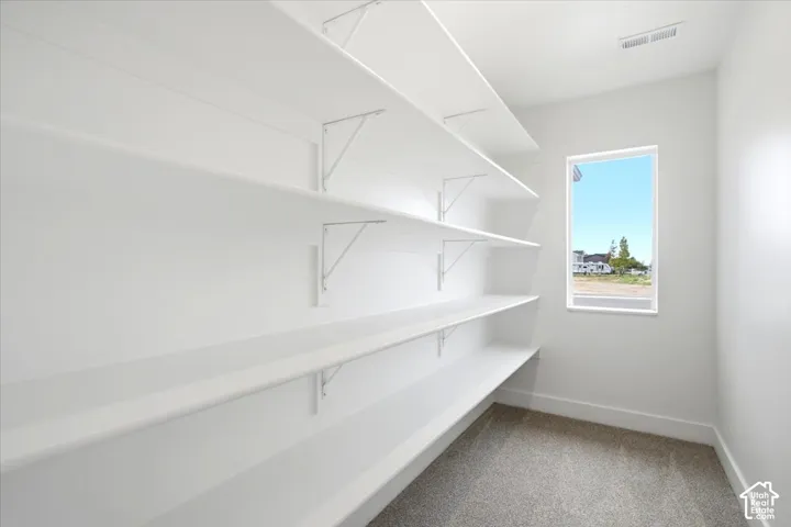 Integrated shelving, window, and carpeted flooring