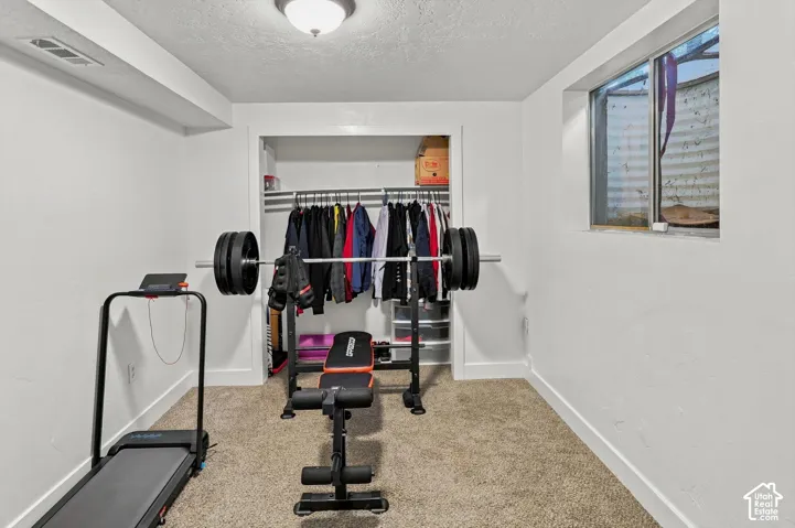 Carpeted floor, white painted walls, recessed window, overhead light fixture, and an open closet with a clothes hanging rod